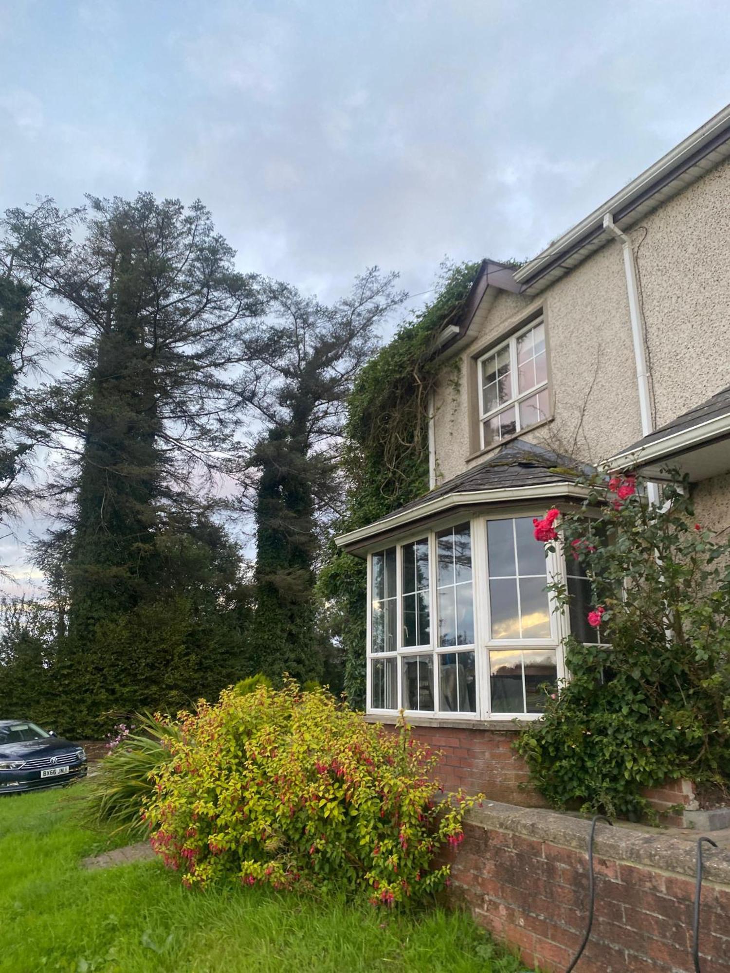 Dulrush Lodge Guest House, Restaurant And Self-Catering 贝尔里克 外观 照片